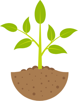 正社員（正職員）